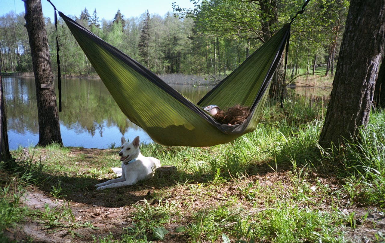 Shades & Hammocks